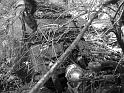 Autofriedhof - 169